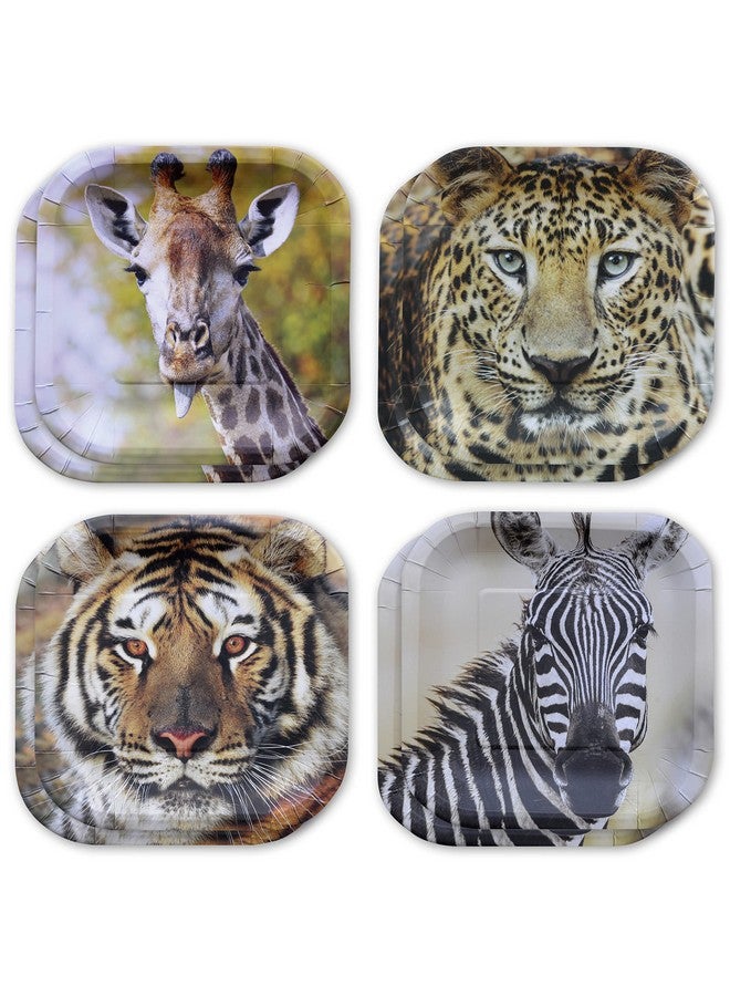 Jungle Safari Paper Party Plates (16 Pcs)! 167In. Square Dessert Plates In Authentic Lifelike Jungle Animal Faces! 4 Ea. Leopardstigersgiraffeszebras