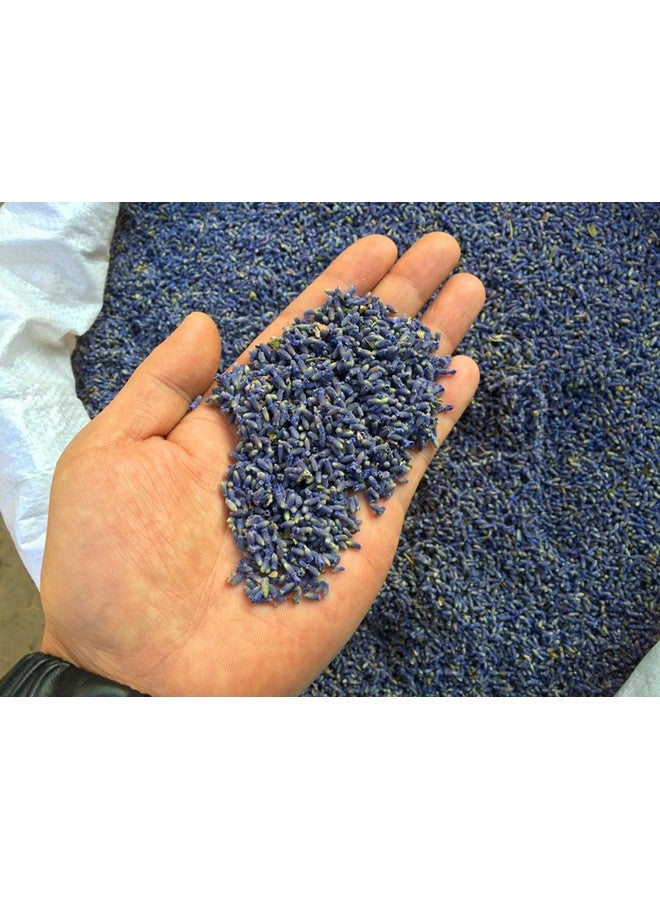 Fragrant Lavender Buds Natural Dried Flowers Wholesale Ultra Blue Grade 1 2 Pound