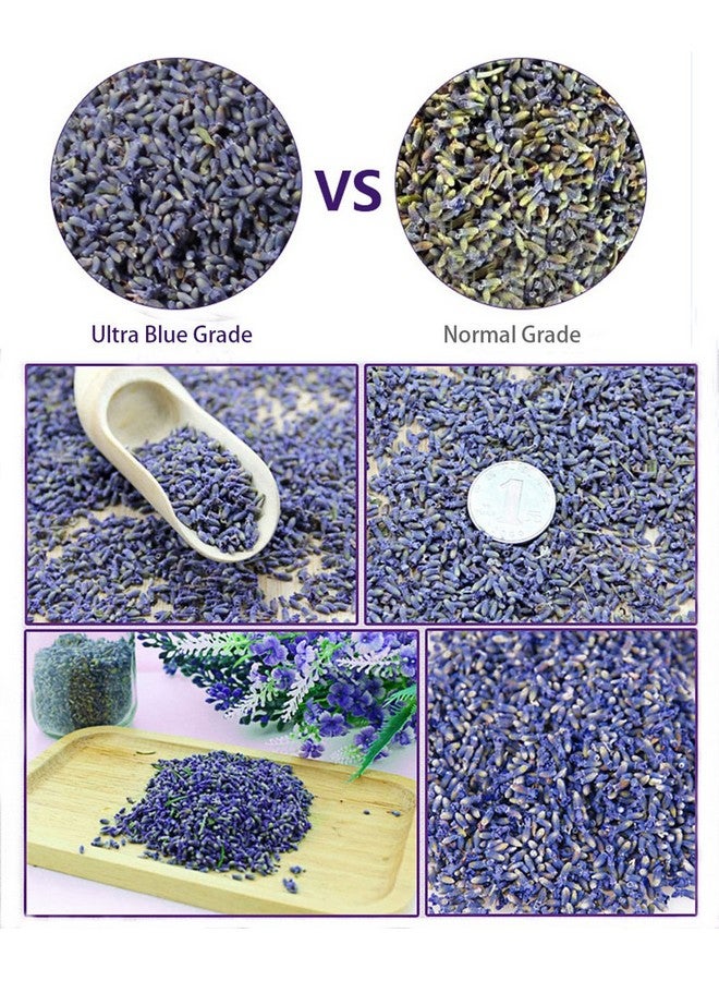 Fragrant Lavender Buds Natural Dried Flowers Wholesale Ultra Blue Grade 1 2 Pound