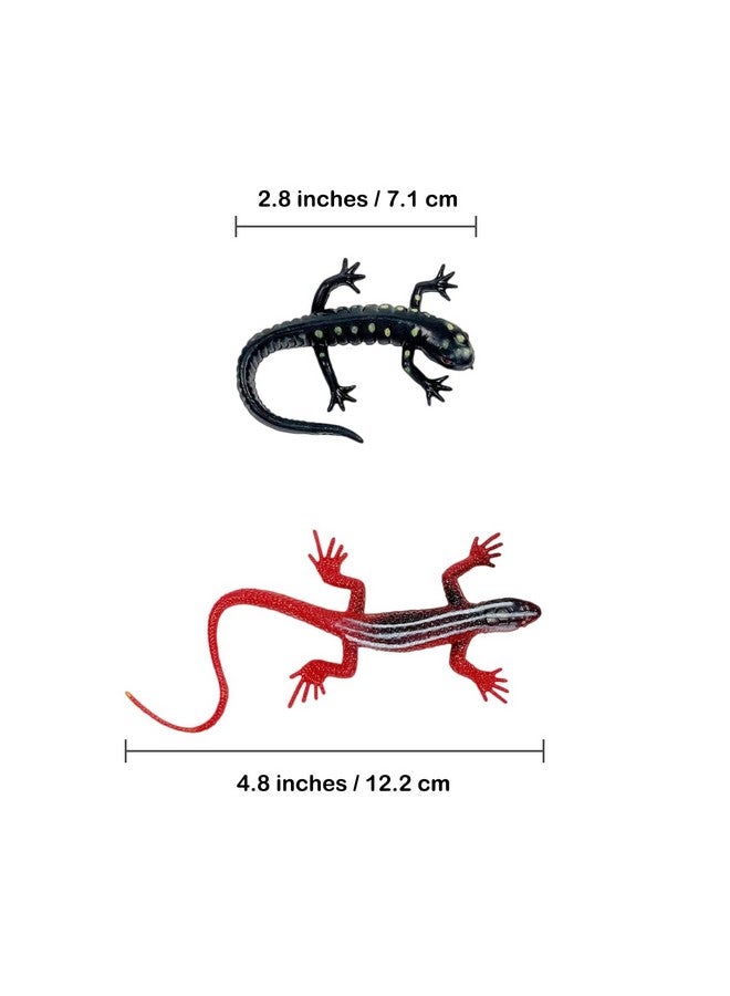 Plastic Lizard Toys Artificial Model Reptile Realistic Rubber Lizard Animal Figures For Halloween Party Decoration Practical Joke And Educational Toys 12Pcs