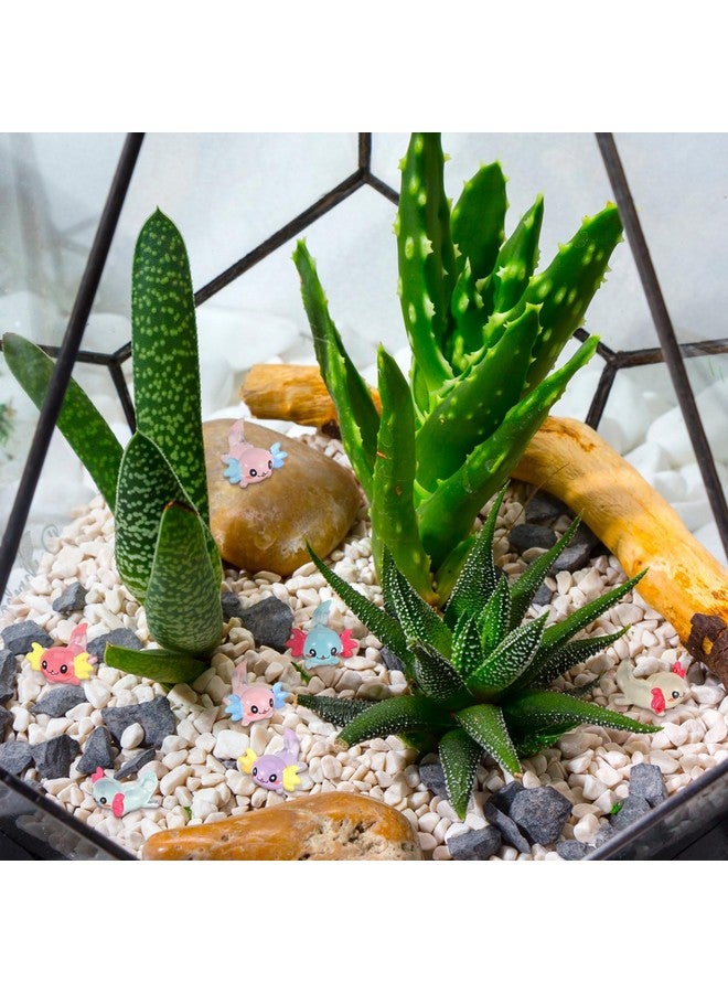 24 Pcs Luminous Mini Resin Axolotl Charm Axolotl Tiny Animal Figurine Axolotl Charm Tiny Resin Animals For Diy Landscape Garden Dollhouse Birthday Party Decoration Ornament 8 Colors