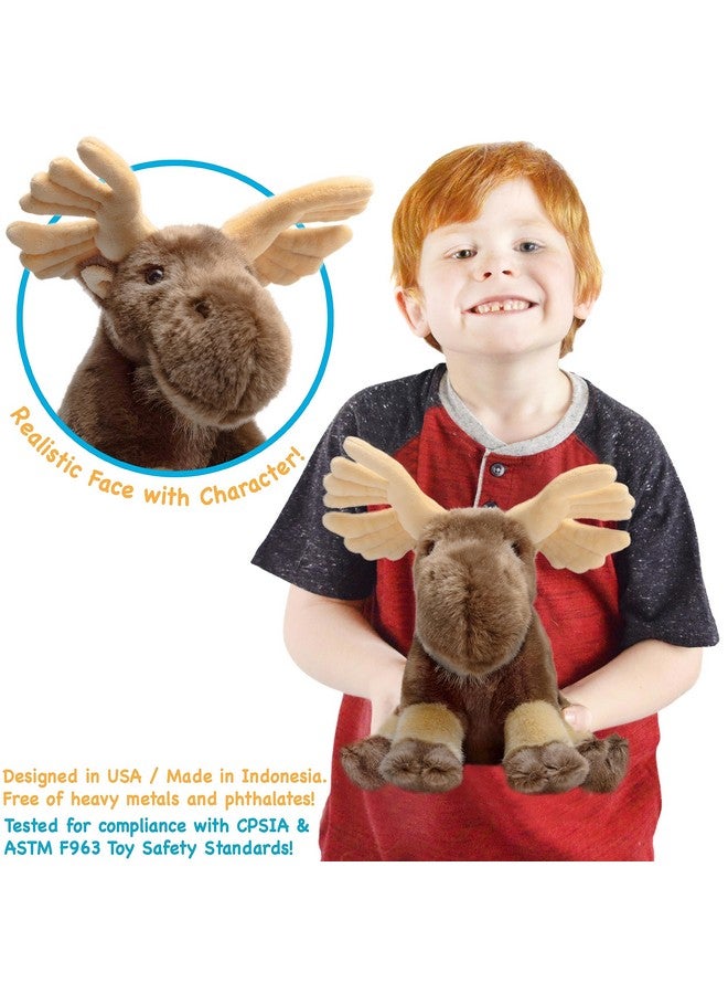 Martin The Moose 10.5 Inch Stuffed Animal Plush By Tigerhart Toys (New Edition)