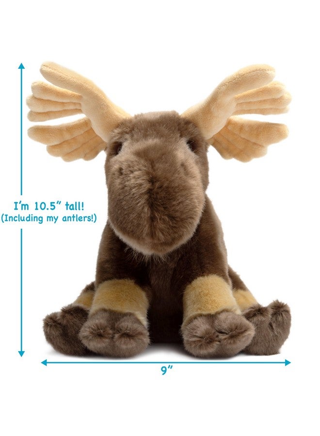 Martin The Moose 10.5 Inch Stuffed Animal Plush By Tigerhart Toys (New Edition)