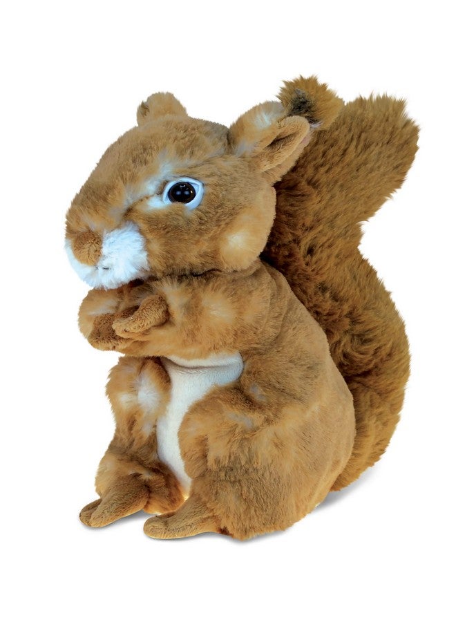 Dollibu Plush Squirrel Stuffed Animal Soft Plush Huggable Brown Squirrel Adorable Squirrel Plush Toy Cute Wild Life Cuddle Gifts For Kids 8 Inch