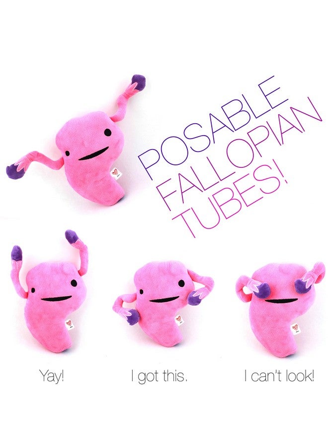 Uterus Plush Get A Womb Soft & Cuddly Plush Uterus Pillow Educational Stuffed Animals For Gynecology Residents Obstetricians Med Students Endometriosis Gifts