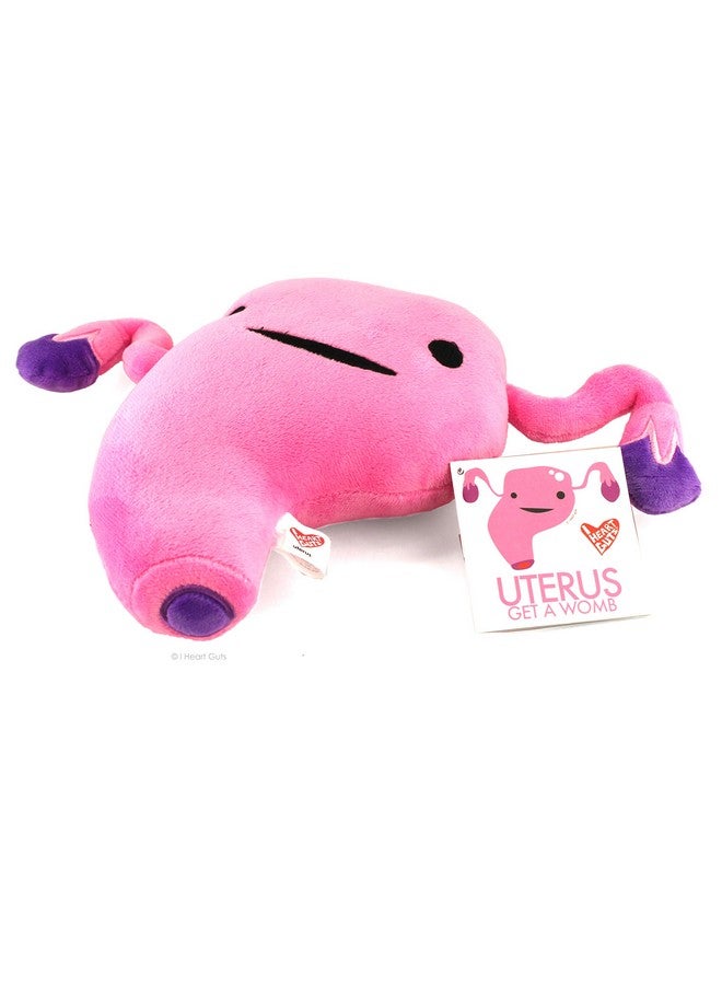 Uterus Plush Get A Womb Soft & Cuddly Plush Uterus Pillow Educational Stuffed Animals For Gynecology Residents Obstetricians Med Students Endometriosis Gifts