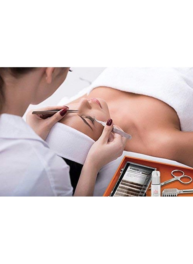 Eyebrow Extensions Kit With 4 Trays Of Mink Eyebrows In Blonde/Light Brown Brown Dark Brown Black Comes On Mixed Length Trays 58 Mm Mix Eyebrow Extension Glue & Extension Tweezers