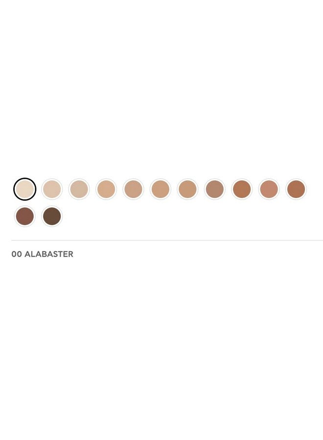 Radiant Professional Natural Fix All Day Matte Cream Foundation Long Wear High Coverage Face Makeup Foundation With Spf 15 Oil Free Matte Finish For All Skin Types1.01 Oz. (00 Alabaster)