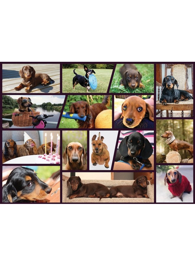 Adorable Dachshund Puzzle 100 Piece Puzzles For Kids Kids Puzzles Fun Childrens Doxie Dog Jigsaw Puzzles Activity