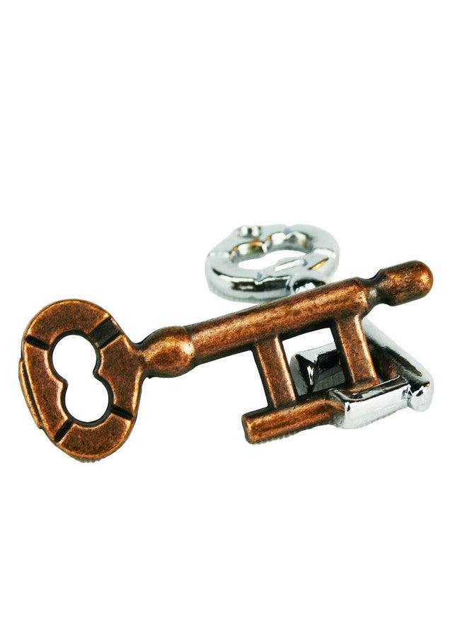 True Genius Curated Collection Variety Pack Assembly Puzzle Disassembly Puzzle Brain Teasers Adult Puzzle Wooden And Metal Brain Teasers