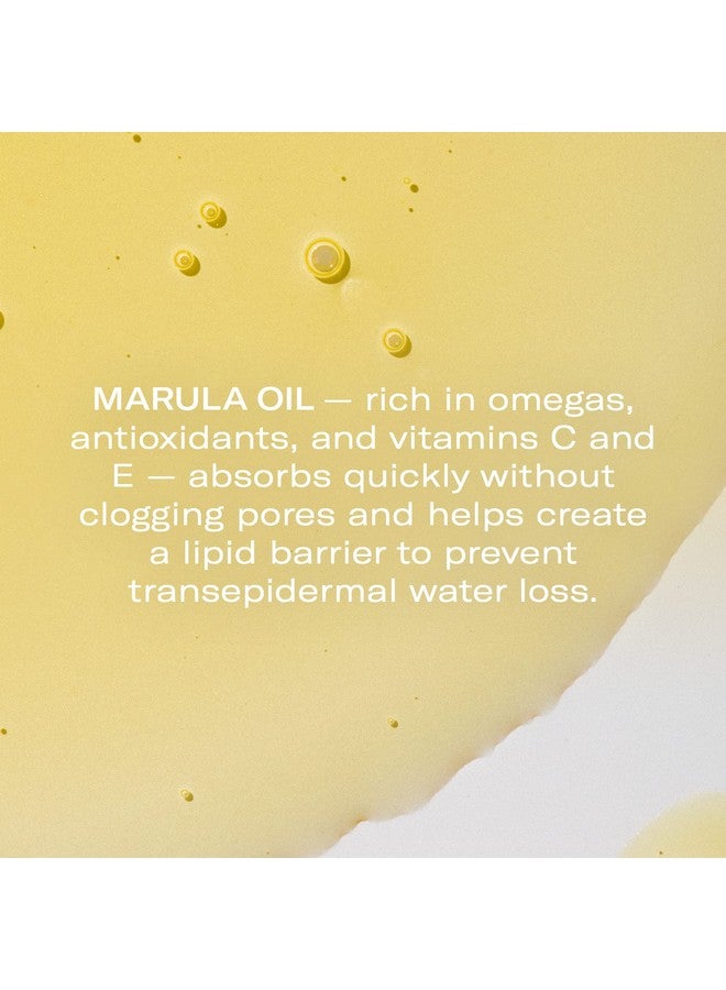 Odacité Anti Aging Serum Concentrate With Marula + Neroli Elasticity Glow Recipe Facial Oil For Hydration Skin Texture & Visibly Smoother And More Supple Skin 0.17 Fl. Oz