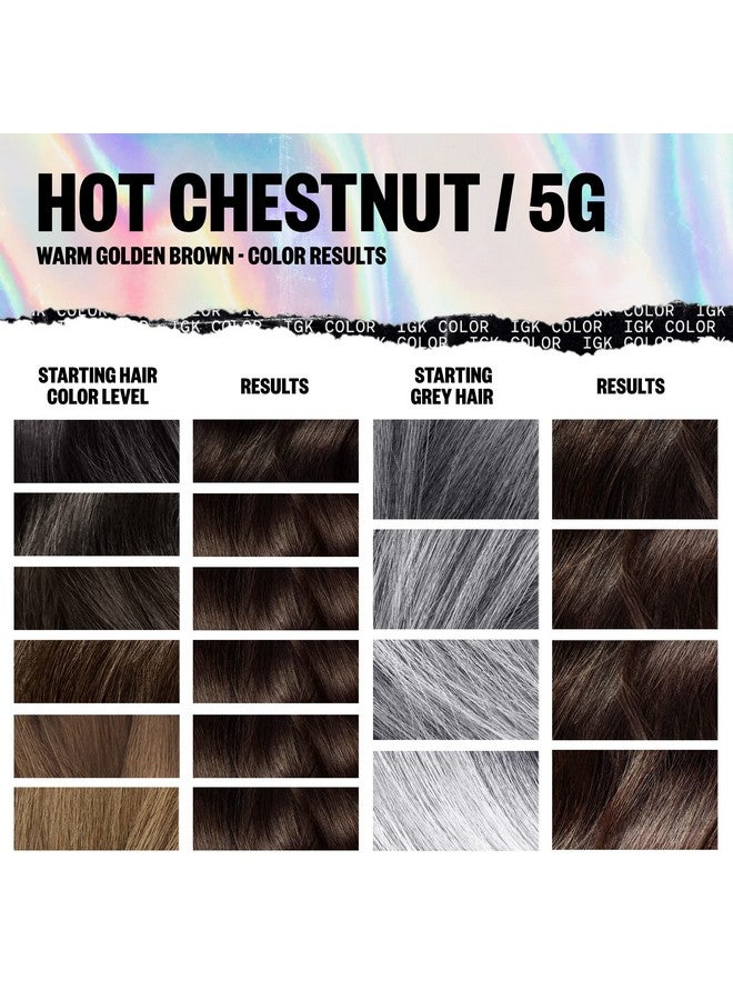 Permanent Color Kit Hot Chestnut Warm Golden Brown 5G Easy Application + Strengthen + Shine Vegan + Cruelty Free + Ammonia Free 4.75 Oz