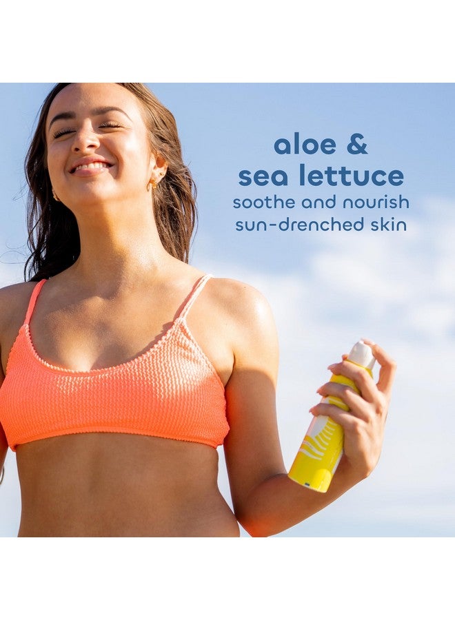Seaweed Bath Co. Sheer Mineral Sensitive Spf 50 Broad Spectrum Sunscreen Spray 6 Ounce Fragrance Free Sustainably Harvested Seaweed Sea Lettuce Aloe
