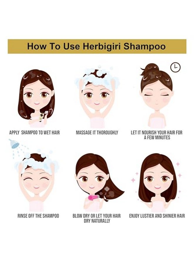 Herbigiri Herbal Amla And Bhringraj Shampoo Strengthens Hair Parabens Free Silicon Free Herbigiri Herbal Shampoo (840 Ml) (Pack Of 4)