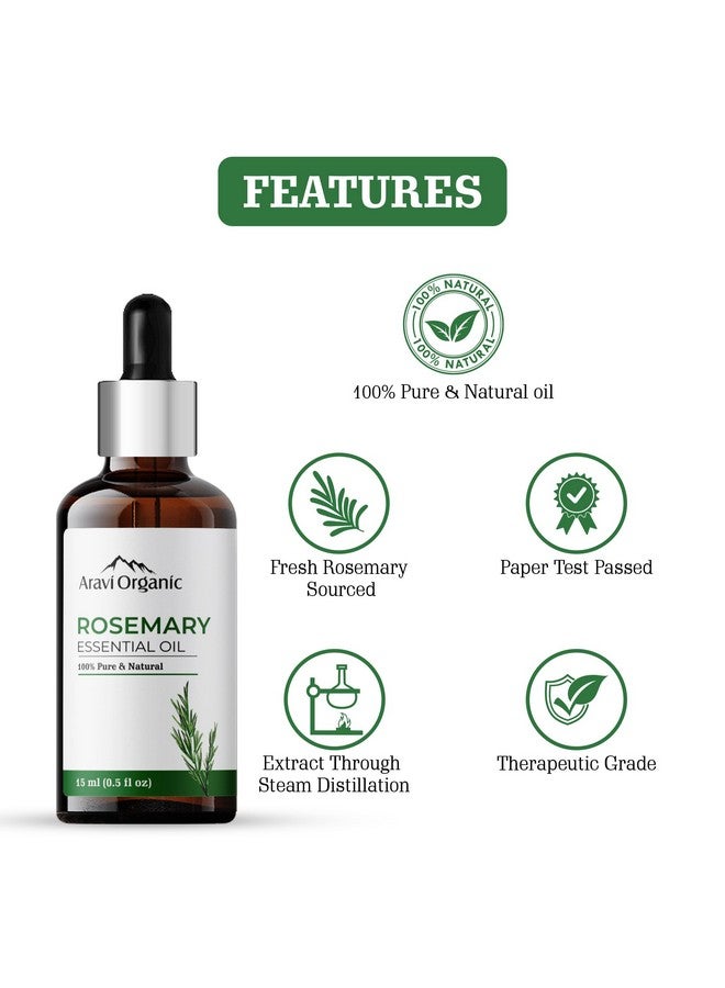 100% Pure And Natural Rosemary Essential Oil For Hair Growth Hair Fall Control Hair Nourishment & Strengthens And Skin Care Rosemary Oil For Women And Men 30 Ml