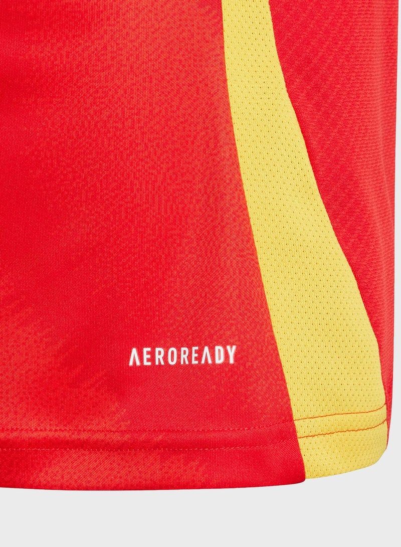 Youth Spain Home Jersey