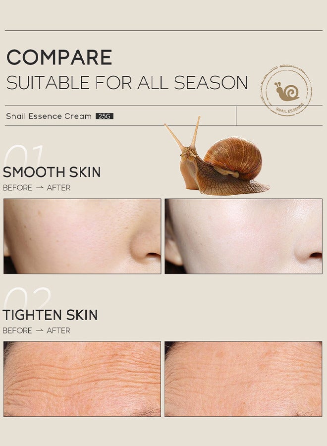 Korea Snail Essence Cream, Moisturizing Acne Scar Removal Cream, Improve Skin Anti-Aging And Wrinkle Removal And Whitening Cream 25G