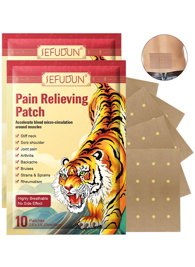 Pain Relieving Patches, Chinese Tiger Patch, Tiger Balm For All Parts Of Body, Shoulder Pain, Back Pain, Knee Pain, Arthritis Pain, Bone Pain Relief Back Pain Patch, Targeted Pain Relief (20 Patches)