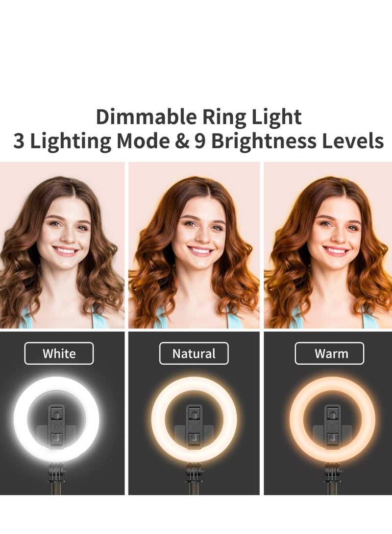 Video Light, LED Camera Light Computer Video Conference Light, Portable Selfie Light High Power 3000mAh Rechargeable/CRI 95+/3 Lights Modes/3 Bases for Phone, iPhone, Zoom, Picture, Makeup (with Clip)