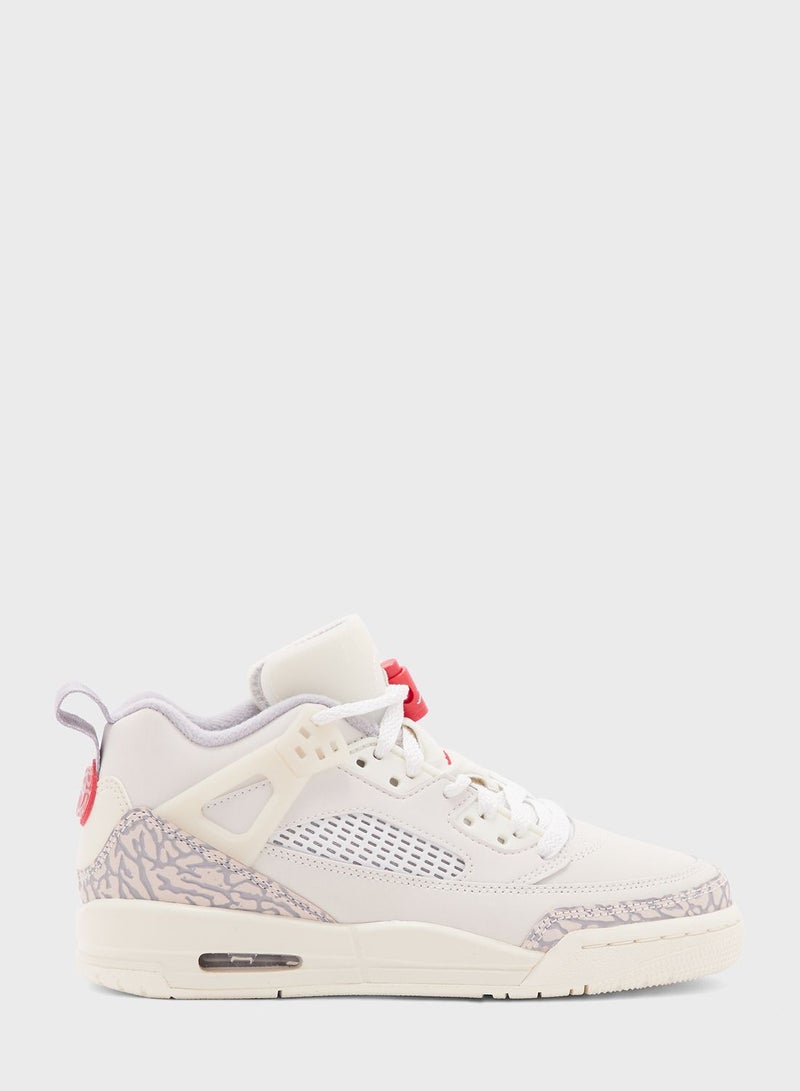 Youth Jordan Spizike Low Bg