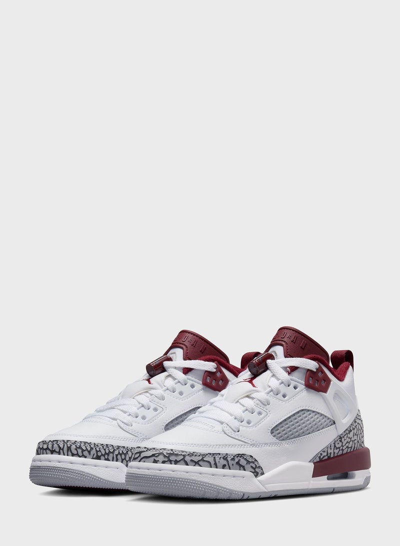 Youth Jordan Spizike Low Bg