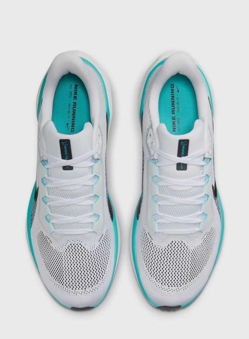 Air Zoom Pegasus 41