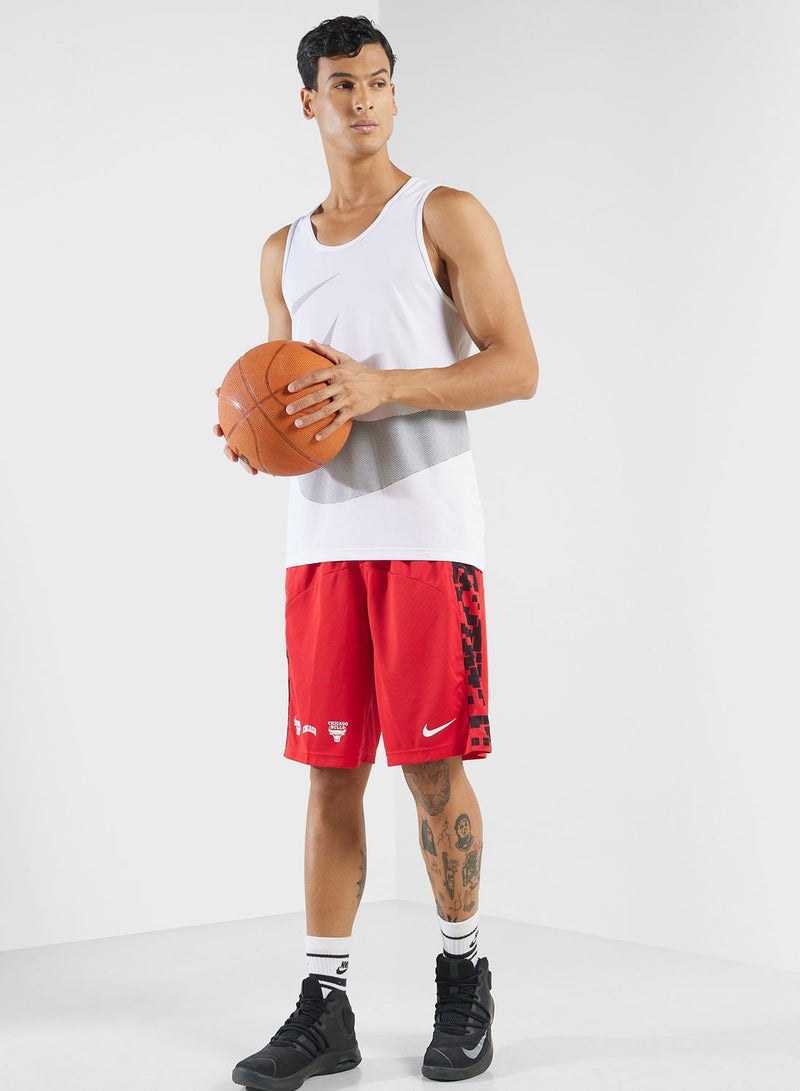 Chicago Bulls Dri-Fit Shorts