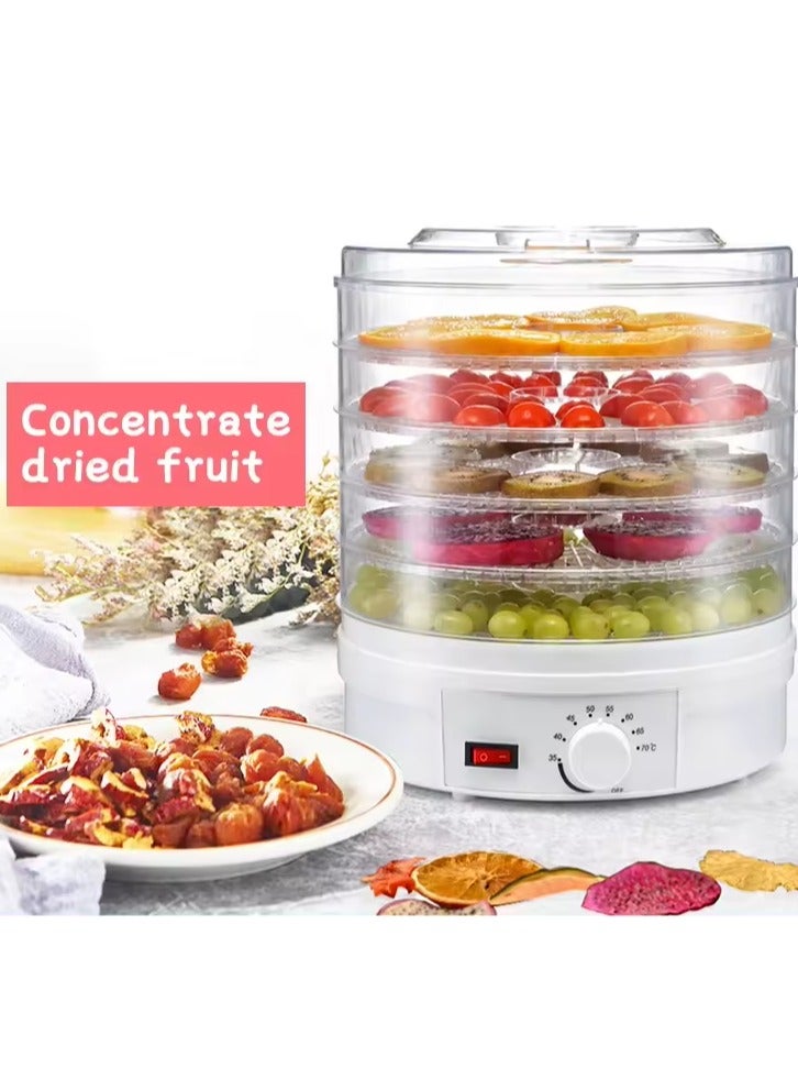 Fruit Dryer Electric Circular Large Food Dehydrator Vegetable and Fruit Dryer Temperature Adjustable 360 Rotating Fruit Vegetable Meat and Beef Dryer Dryer