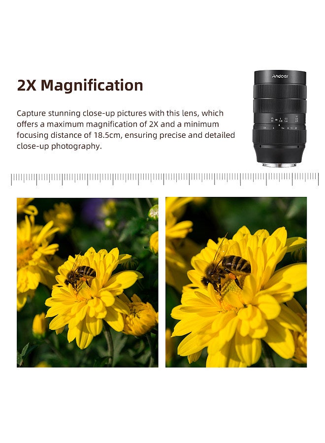 60mm Fixed Focus Camera Lens Full Frame Camera Prime Lens F2.8 Large Aperture Manual Focus 2X Magnification with E-Mount 7 Groups 10 Elements
