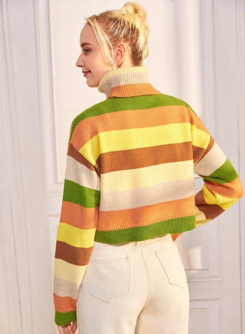 Funnel Neck Colorblock Drop Shoulder Sweater