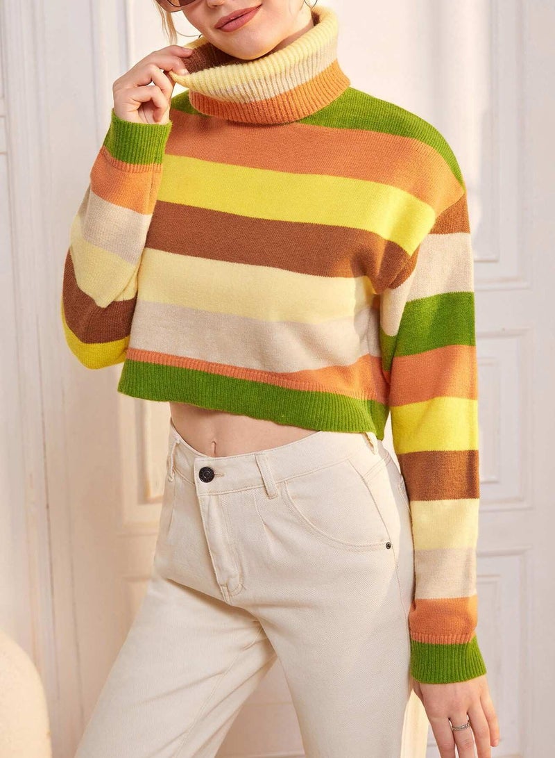 Funnel Neck Colorblock Drop Shoulder Sweater