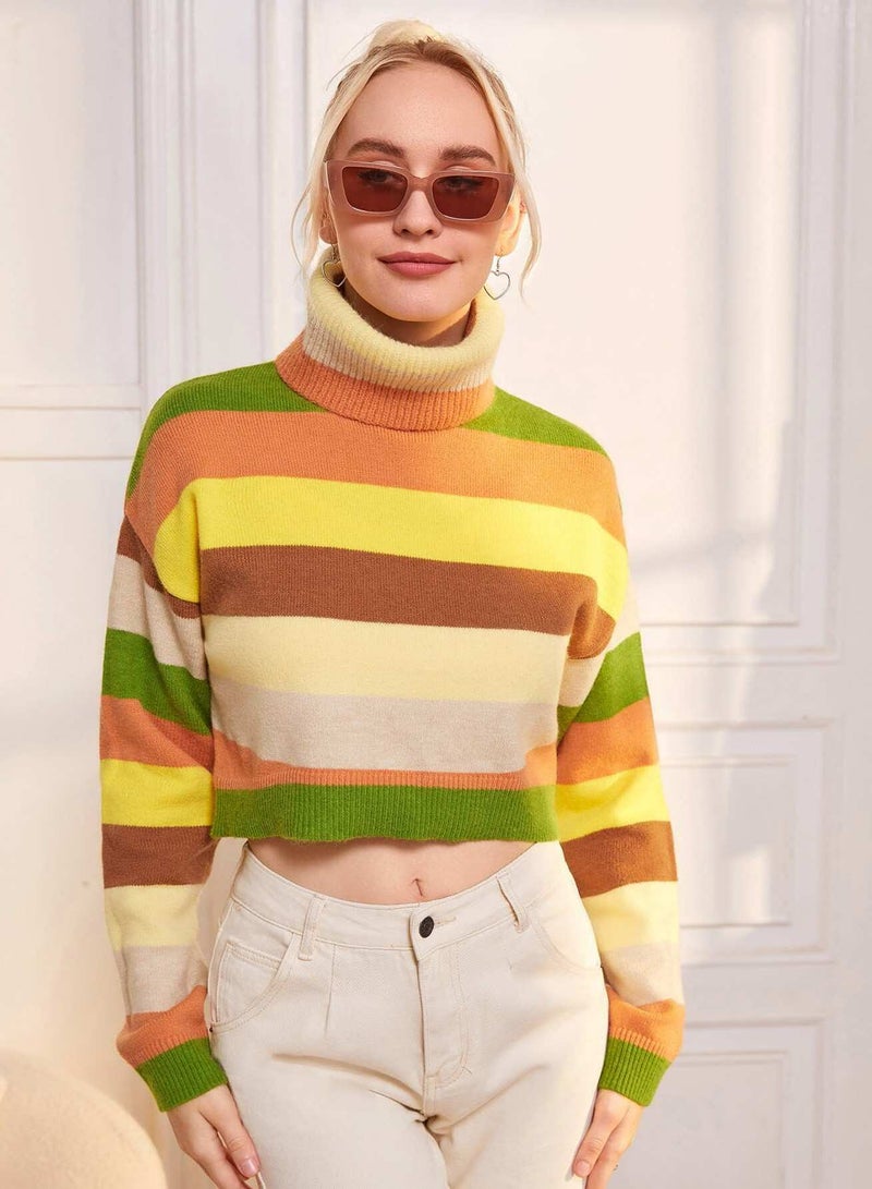 Funnel Neck Colorblock Drop Shoulder Sweater