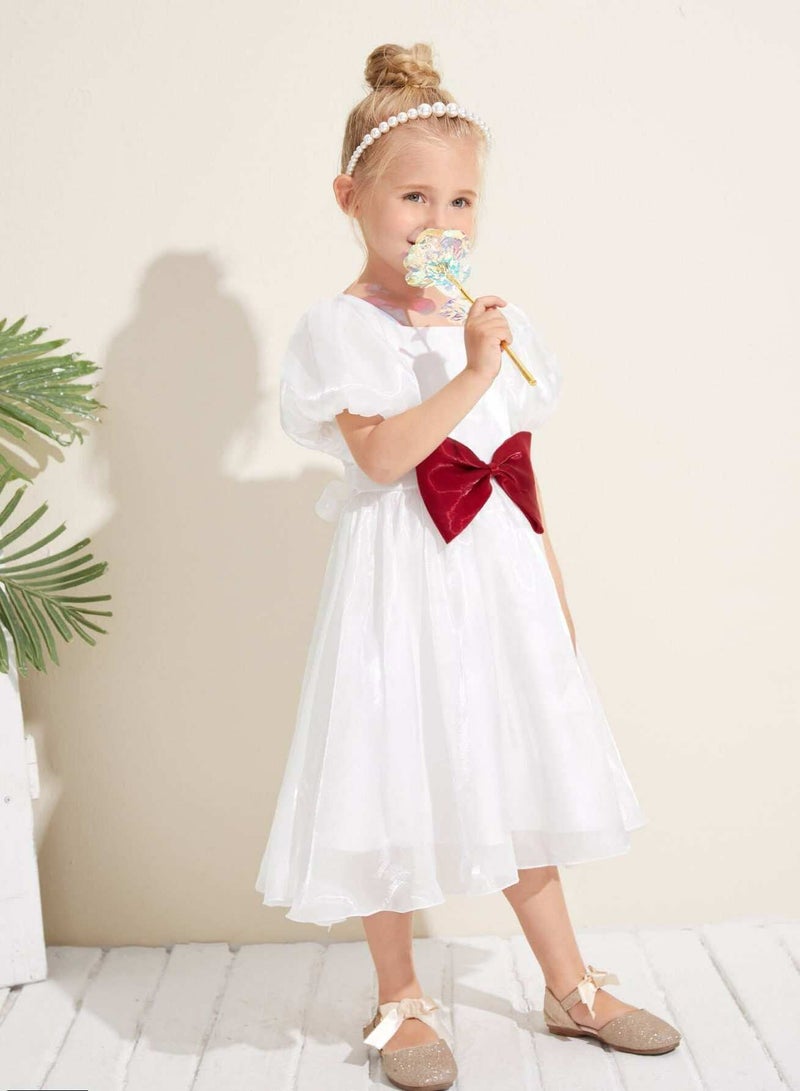 Toddler Girls Lantern Sleeve Bow Front Party Dress