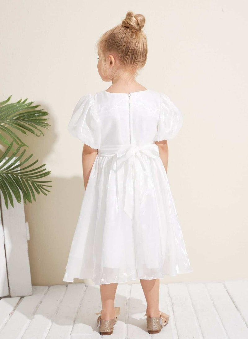 Toddler Girls Lantern Sleeve Bow Front Party Dress