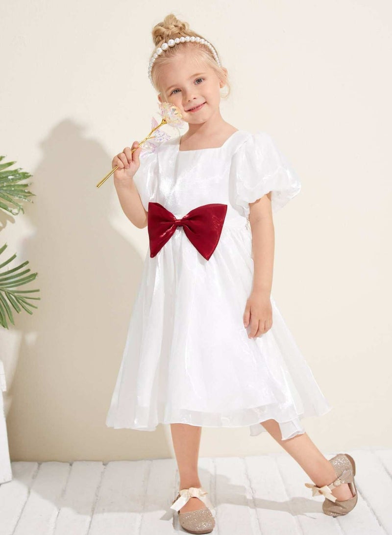 Toddler Girls Lantern Sleeve Bow Front Party Dress