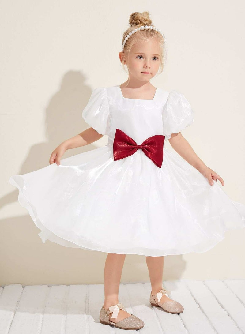 Toddler Girls Lantern Sleeve Bow Front Party Dress