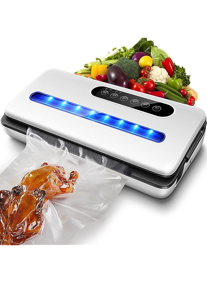 Sealer Machine, Multipurpose Automatic Vacuum Sealing Machine With 10 Free Sealing Bags, Dry & Moist Modes, Easy To Clean, For Meat Or Wet Food In Home Kitchen