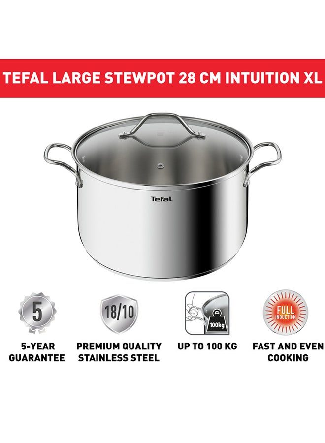 TEFAL Intuition XL stockpot | 28 cm | Premium Stainless steel 18/10 | XL Size | Robust Handles | Glass Lid | Induction Pot | 2 Years Warranty | B8646404 Stainless Steel 28 cmcm