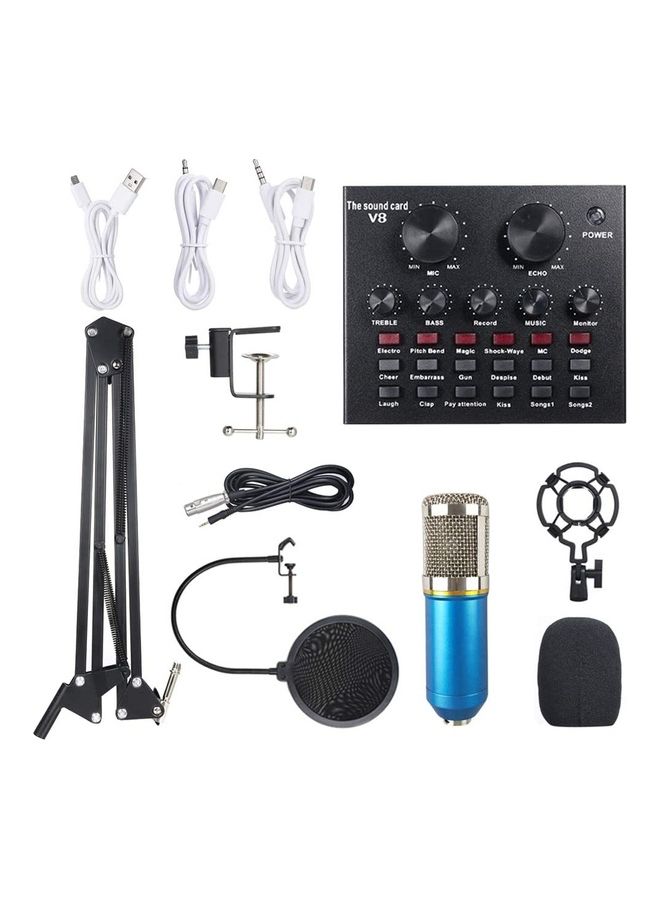 Professional Condenser Microphone Bundle Set Blue/Silver