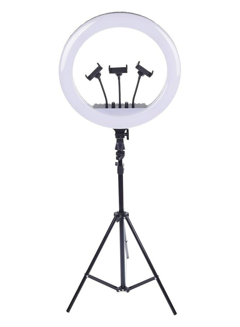 Professional RL-18 Makeup Selfie Studio Video Ring Lamp For Live Show Streaming LED Ring Light