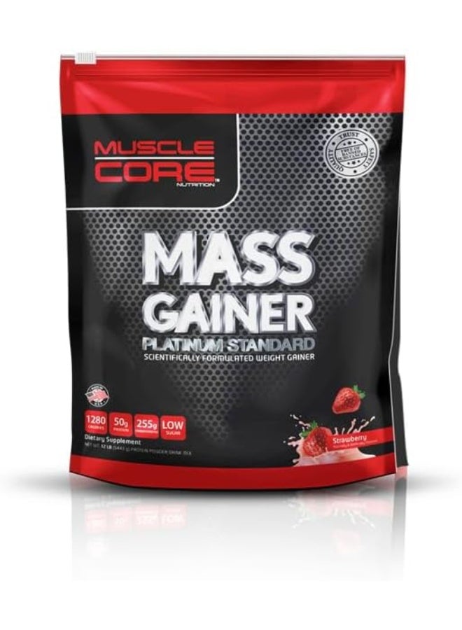 Mass Gainer Platinum Standard Scientifically Formulated Weight Gainer Strawberry Flavour 12Lb