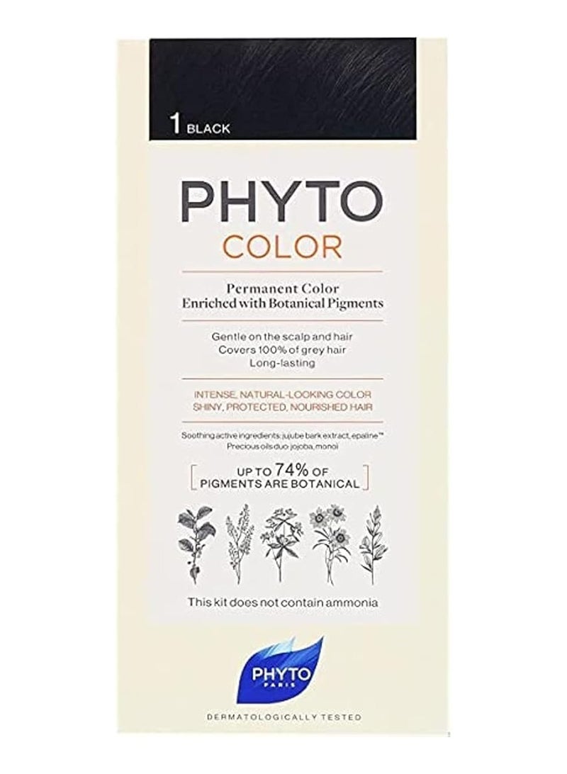 Phyto Color Cream - 1 Black