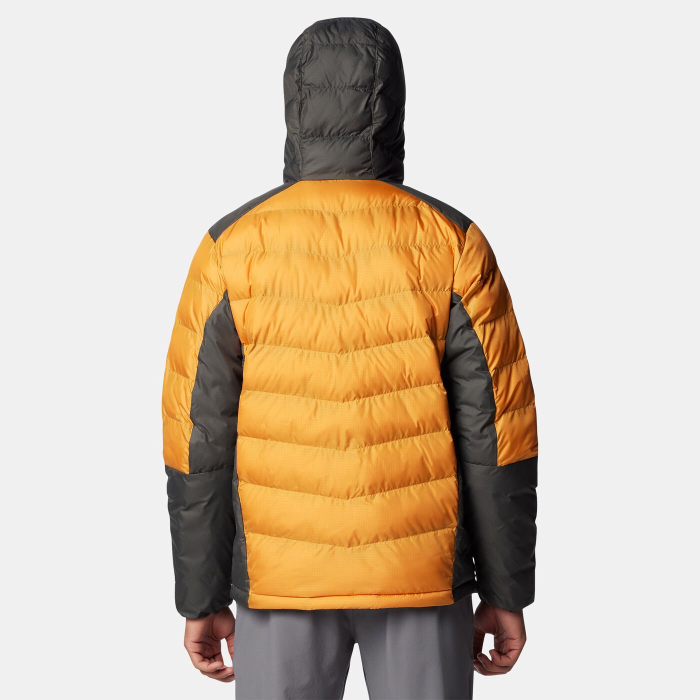Men's Labyrinth Loop II Hiking Jacket