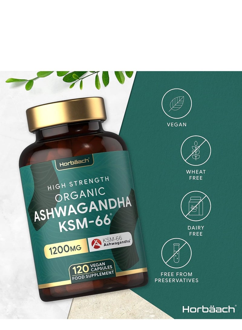 Horbaach KSM 66 Ashwagandha 120 Capsule