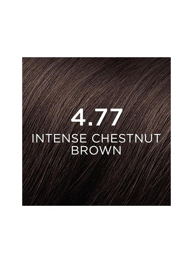 Phytocolor Permanent Hair Color 4.77 Intense Chestnut Brown