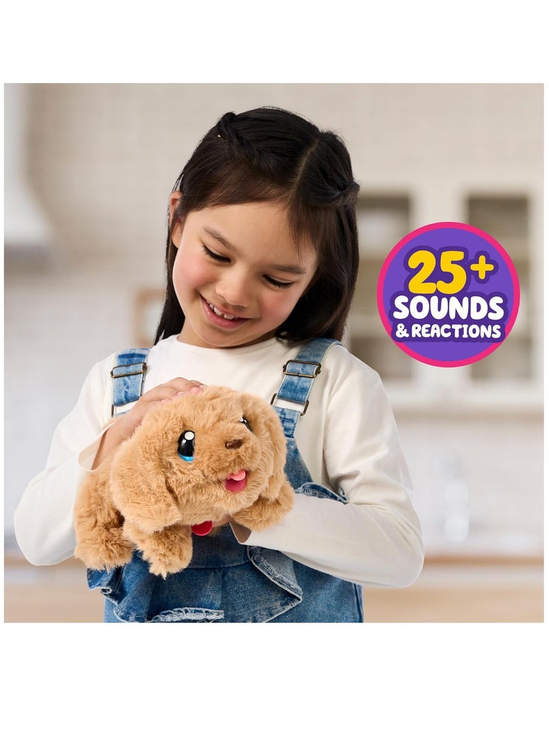 Little Live Pets - My Puppy's Home Plush
