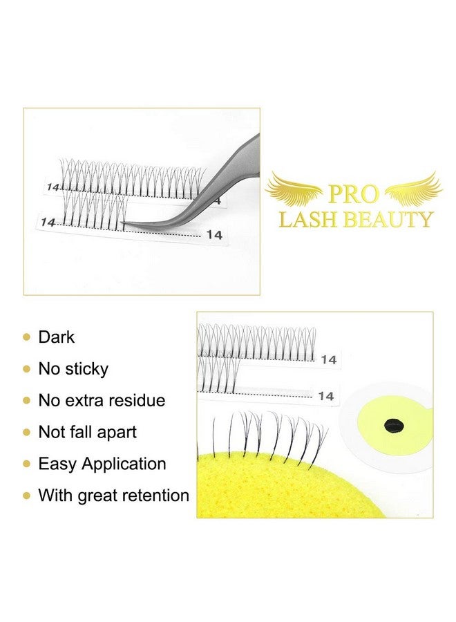 Premade Fans Eyelash Extensions 3D 4D 5D 6D Long Stem Premade Volume Eyelash Extensions 9 To 20 Volume Lash Extensions .07 .10 Premade Volume Fans C D Pre Made Lash(5Dd0.1014 Mm)