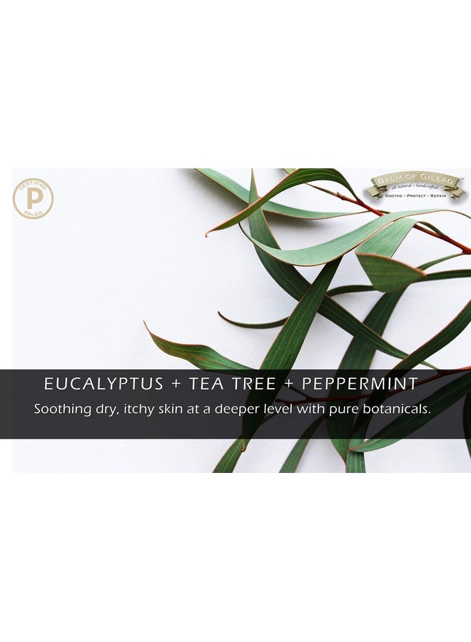 Tea Tree With Eucalyptus Foot Cream Intensive Moisture And Healing Foot Care And Body Skin Soothing Cream Eczema Ringworm Dry Chaffed Skin Nail Toe Fungal Infections