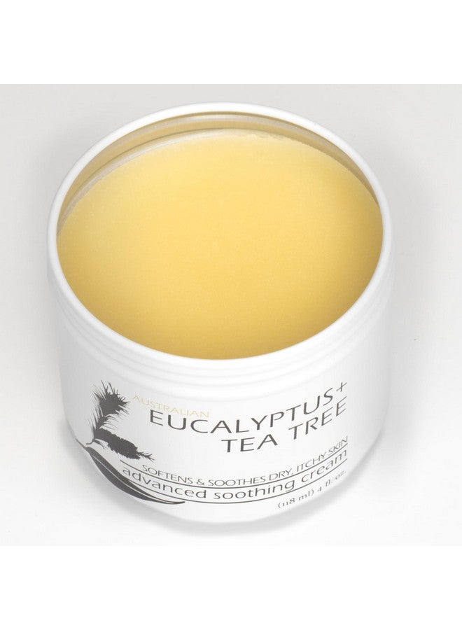 Tea Tree With Eucalyptus Foot Cream Intensive Moisture And Healing Foot Care And Body Skin Soothing Cream Eczema Ringworm Dry Chaffed Skin Nail Toe Fungal Infections