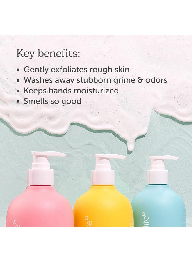 Nectar Life Hand Wash 14Oz Exfoliating And Moisturizing Hand Soap With Volcanic Pumice Jojoba Oil & Shea Butter Lemon Scent